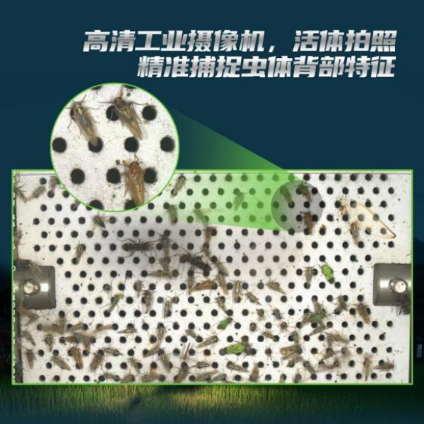 全面升級(jí)！托普云農(nóng)這樣防治“作物殺手”