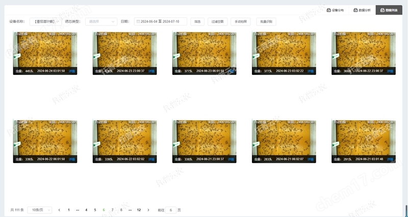 2. 蟲(chóng)情圖像列表_副本.jpg