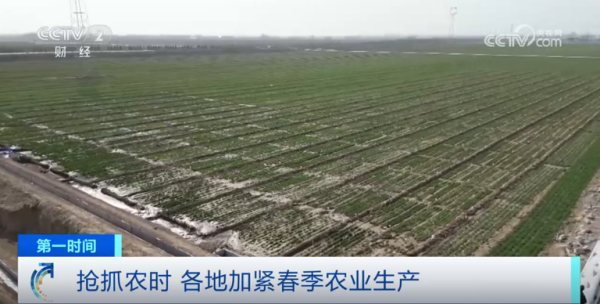 心系糧安、山田無阻、服務(wù)有恒|托普云農(nóng)2025年智能裝備巡檢服務(wù)全面啟動