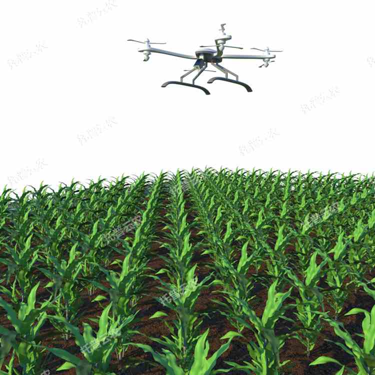 田間無(wú)人機(jī)式植物高通量表型采集分析平臺(tái)