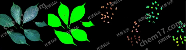 <strong><strong>高光譜植物數(shù)字采集分析系統(tǒng)</strong></strong>-1.jpg 高光譜植物數(shù)字采集分析系統(tǒng)