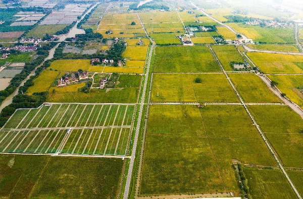 高標(biāo)案例丨托普云農(nóng)助力善璉鎮(zhèn)農(nóng)田“數(shù)智”升級(jí)