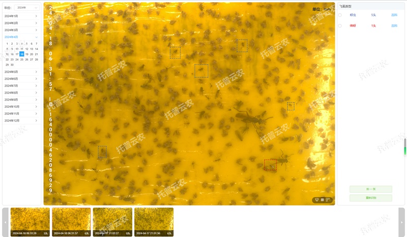 4. 智能識別 自動(dòng)計(jì)數(shù)_副本.jpg