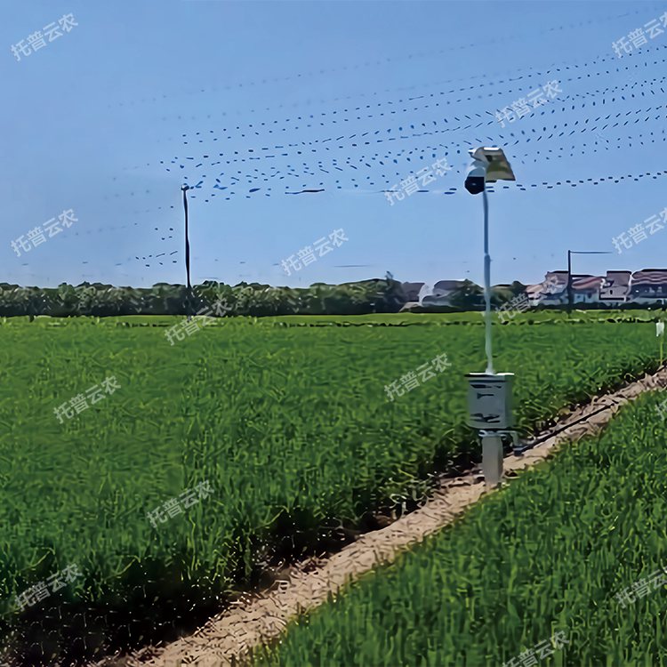 自動(dòng)趕蛾智能統(tǒng)計(jì)桿