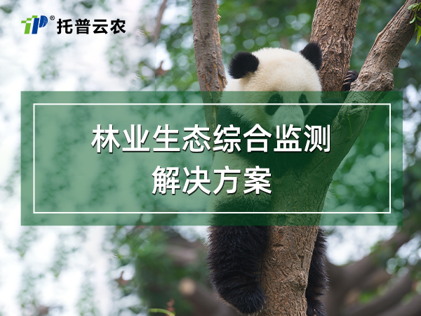 林業(yè)生態(tài)綜合監(jiān)測(cè)解決方案
