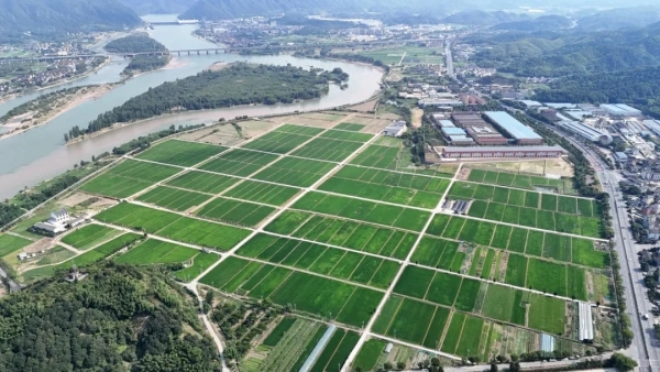 屏幕種田、數(shù)據(jù)施肥，看托普如何助力桐廬繪就共富新畫卷