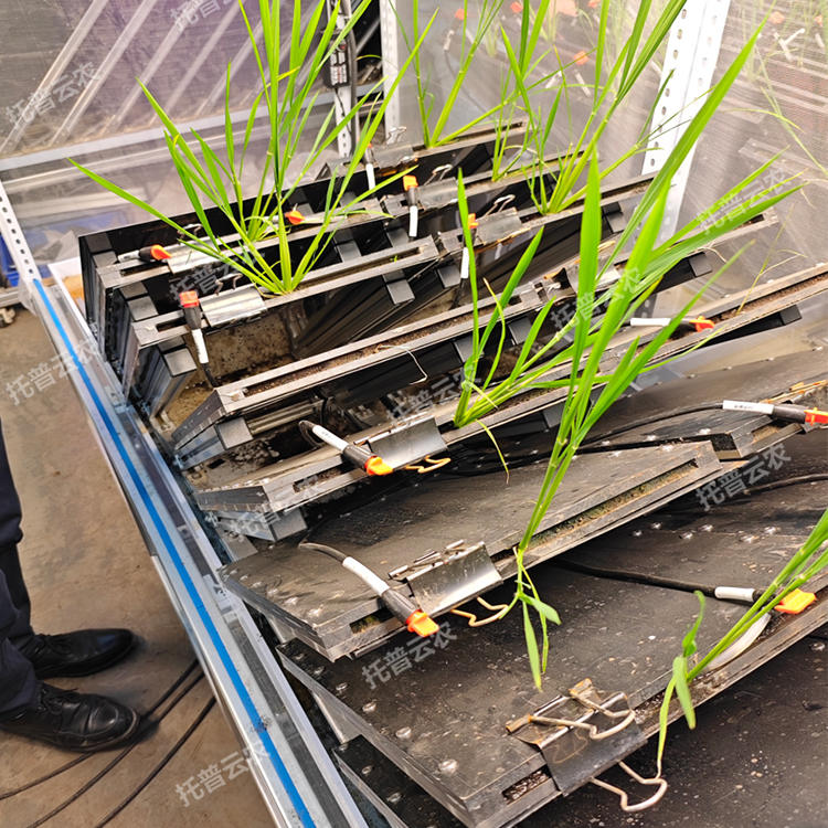 高通量植物根系表型采集分析系統(tǒng)（根盒式）