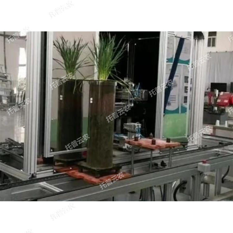 高通量植物根系表型采集分析系統(tǒng)（根筒式）