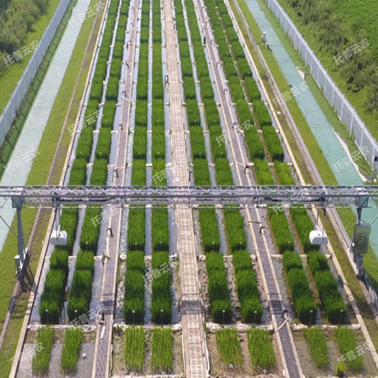 龍門式高通量表型采集分析平臺(地軌式)