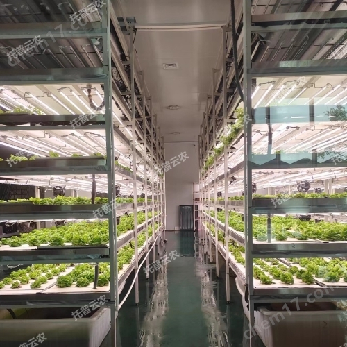 植物組培實驗室