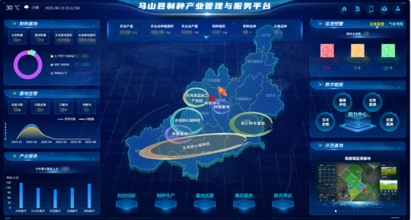 AI+農(nóng)業(yè) | 當(dāng)種子植入“數(shù)智芯片”，馬山縣打造制種基地新標(biāo)桿