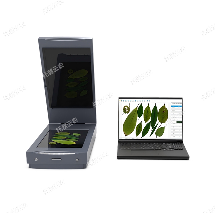 葉面積分析系統(tǒng)