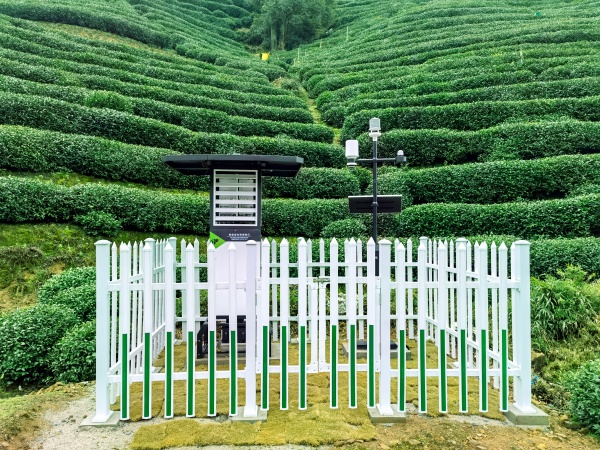 西湖茶園氣象監(jiān)測(cè)(1)_副本.jpg